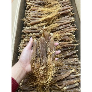 hồng sâm sấy dẻo 160k/100g