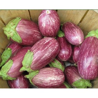 Hạt giống Cà Tím sọc