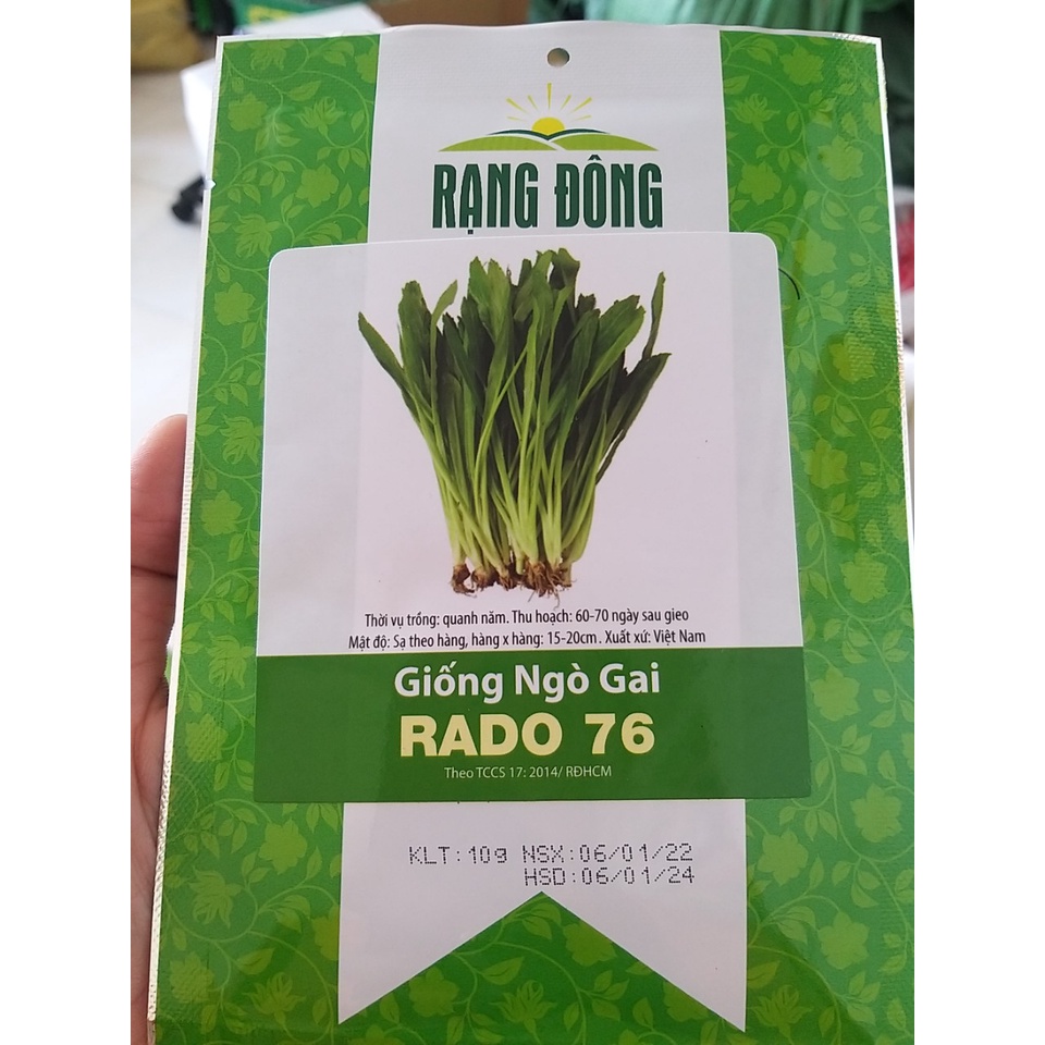 Hạt giống ngò gai RADO 76 Rạng Đông gói 10g-100 g