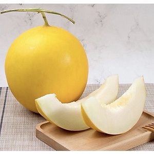 Hạt giống dưa hoàng kim F1 quả to ngọt năng suất cao gói 5 hạt