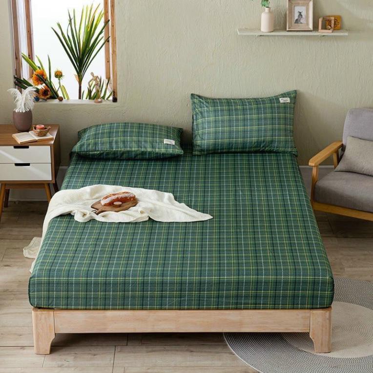 Set Ga Gối Cotton Tici 3 Món - Ga Gối Cotton Tici Nhập | BigBuy360 - bigbuy360.vn