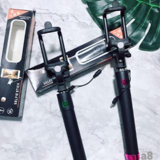 Gậy tự sướng