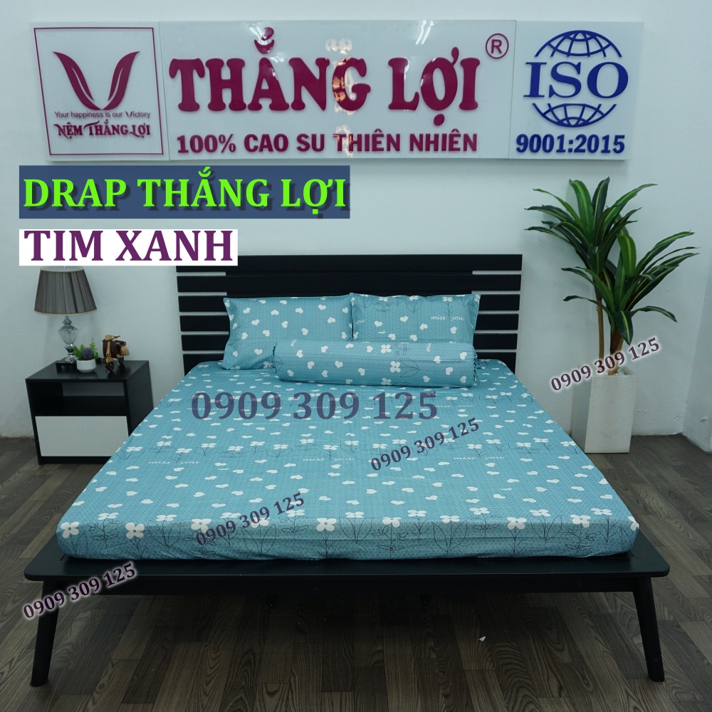 Drap Thắng Lợi, ga giường cao cấp thoáng mát cotton 100% mẫu TIM XANH
