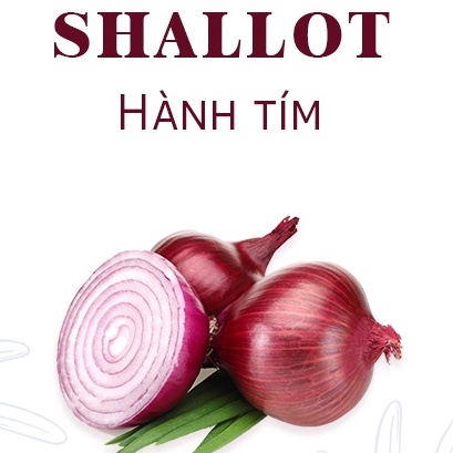 Shallot Powder - Bột hành tím nguyên chất Red Onion Purple ướp thịt cá hũ 120ml