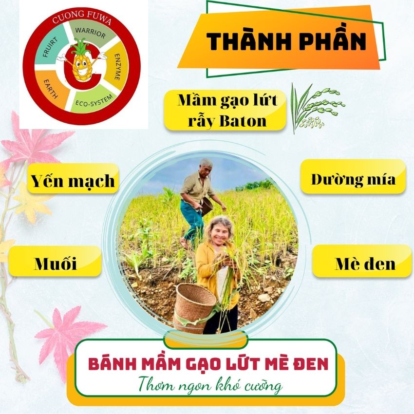 Bánh mầm gạo lứt thực dưỡng ăn kiêng CÔ GÁI BH.NONG, thuần tự nhiên, tốt cho người Tiểu đường - Hộp 210g