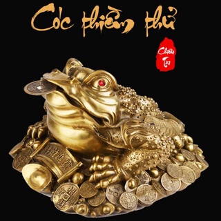 Cóc 3 chân,Thiềm thừ ngậm tiền hút tài lộc chiêu tài.vật phẩm phong thuỷ bằng đồng cao 13cm