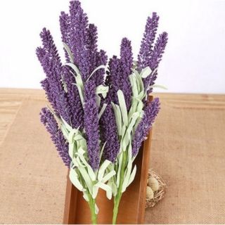 Hoa lavender xốp - cành 12 bông