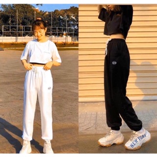 Quần joker nỉ bông bao xịn sò