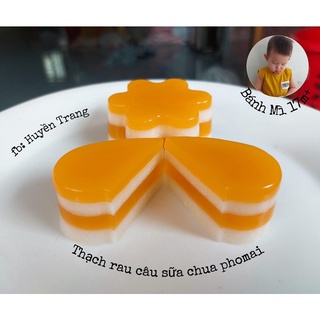 Bột thạch Agar Agar Hữu cơ Bio