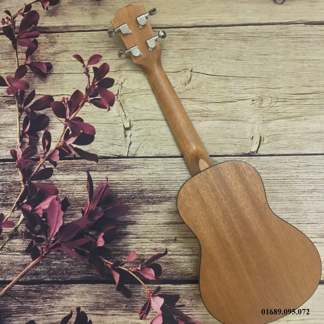 ĐÀN UKULELE CONCERT VIỀN ĐEN