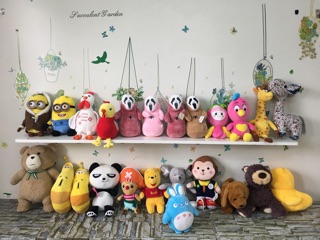 Set 5 gấu bông bất kì size 30cm