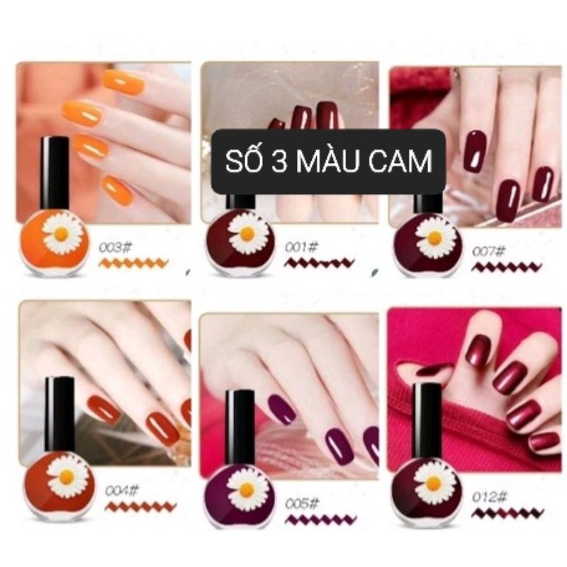 SƠN MÓNG TAY HÀN QUỐC CHAI HOA MẪU MỚI