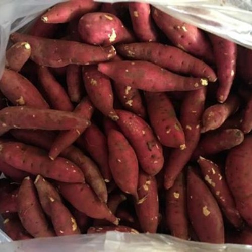 Khoai Lang Nhật (Đà Lạt) | BigBuy360 - bigbuy360.vn