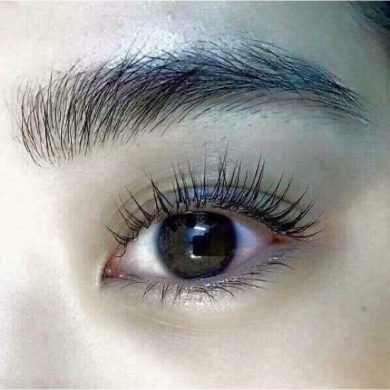 LĂN MỌC MI GENIVE