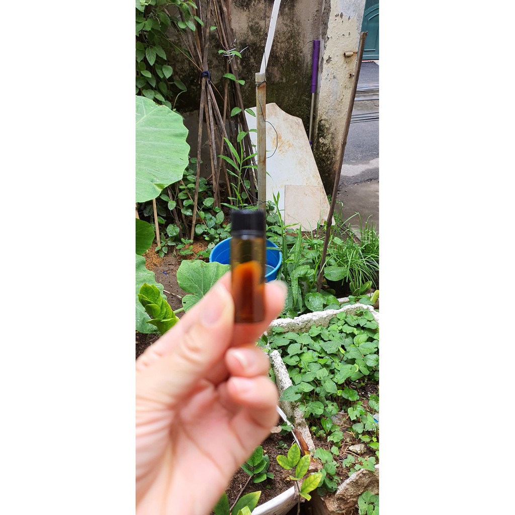 10 chai serum 2 3 5ml mỏng nắp nhựa ( nút nhựa nắp đen)