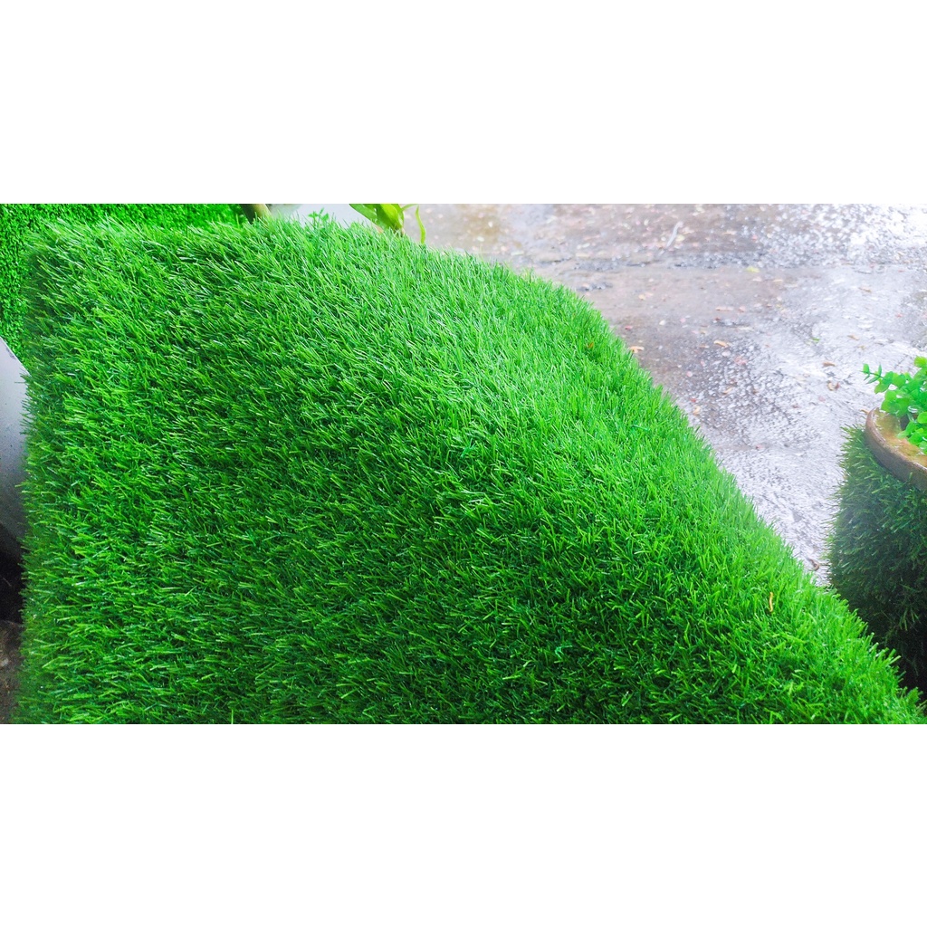 Thảm cỏ nhân tạo giá rẻ, thảm cỏ trang trí, cỏ 2cm loại Cao Cấp