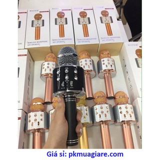 Mic karaoke ws 858 kèm loa