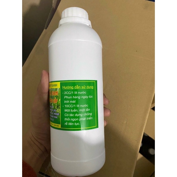 Dịch nha đam 1 lít