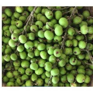 Quả sung khô thái lát 200gr