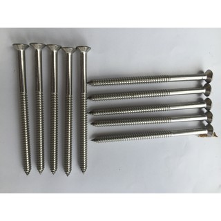 10 chiếc vít inox 304 phi 6 dài 7cm