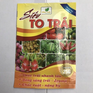 SIÊU TO TRÁI,TO CỦ, TẠO NGỌT,NẶNG CÂN