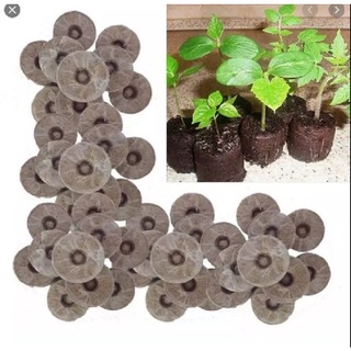 Viên nén sơ dừa ươm hạt giống - giâm cành - 20 viên