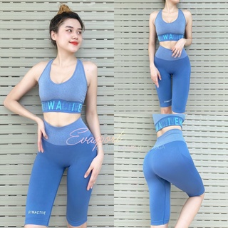 Set đồ tập gym ACTIVE tập yoga,aerobic nữ EVA Sport vải dệt kim ,co giãn tốt, mặc ôm dáng, nâng mông, tôn vòng 3