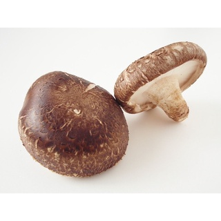 200gr nấm hương mũ Sapa phơi khô loại to ngon, thơm mùi đặc trưng