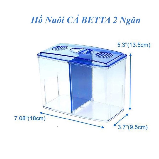 Bể cá mini bể betta 2 ngăn nhựa có thể tháo lắp ngăn tiện lợi