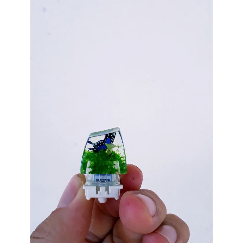 [Mã 267ELSALE hoàn 7% đơn 300K] Keycap artisan butterfly trang trí bàn phím cơ gaming.