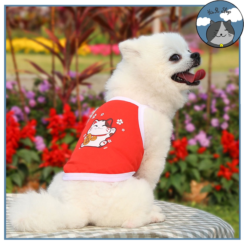 Áo Ba Lỗ Sát Nách Thiết Kế Xinh Xắn Cho Thú Cưng Áo Mùa Hè Cho Chó Mèo