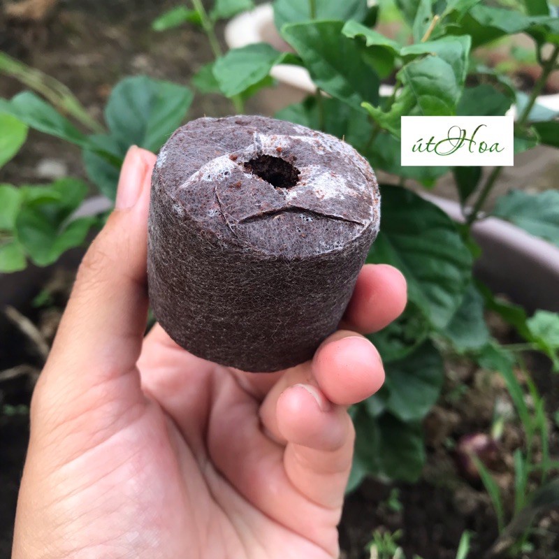 Sỉ 1 thùng viên nén (1000 viên) Mekong - Hàng xuất khẩu