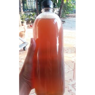 Mật ong nuôi xuất khẩu