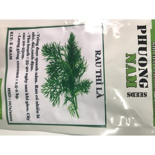 10 Gram Hạt giống Rau Thì Là- Làm gia vị, trang trí cho các món ăn ngon