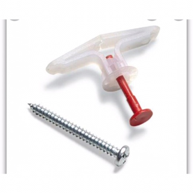 Tắc kê bướm 1 con 8 Ly