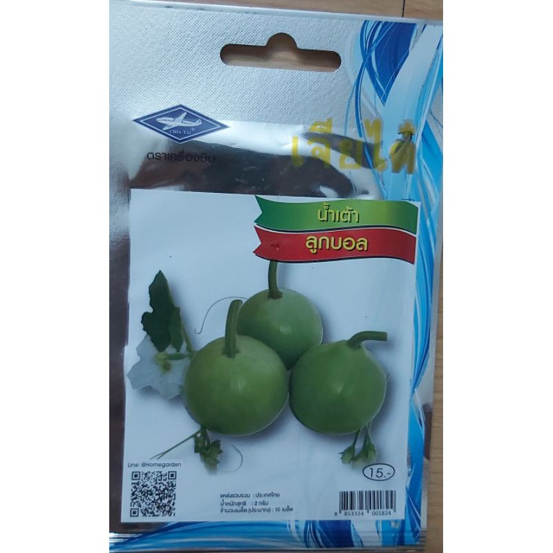 bầu tròn thái lan
