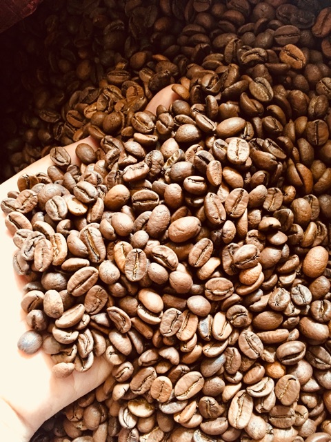 500GR CÀ PHÊ NGUYÊN CHẤT ARABICA HONEY CẦU ĐẤT | BigBuy360 - bigbuy360.vn