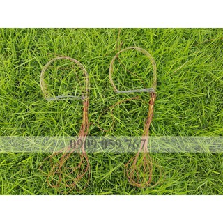Bẫy Giò Chim Cu Gáy Mồi đất cáp 432