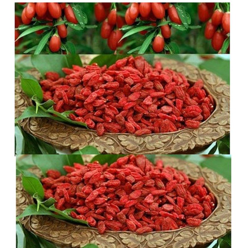 1kg Quả Kỷ Tử chín sấy khô bồi bổ sức khỏe   - có tặng quà - MSố 010 | BigBuy360 - bigbuy360.vn