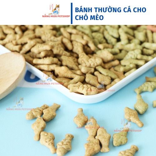 Bánh thưởng cho mèo, bánh thưởng cho chó
