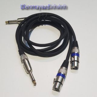 Dây jack canon ra jack 6ly