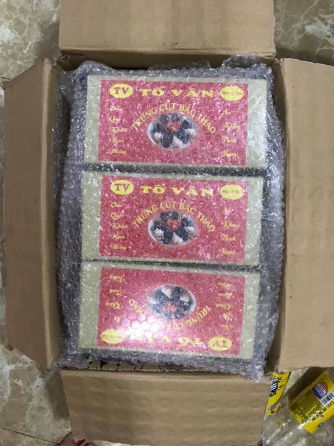 TRỨNG CÚT/ VỊT BẮC THẢO - THƠM NGON BÉO NGẬY ✅✅✅