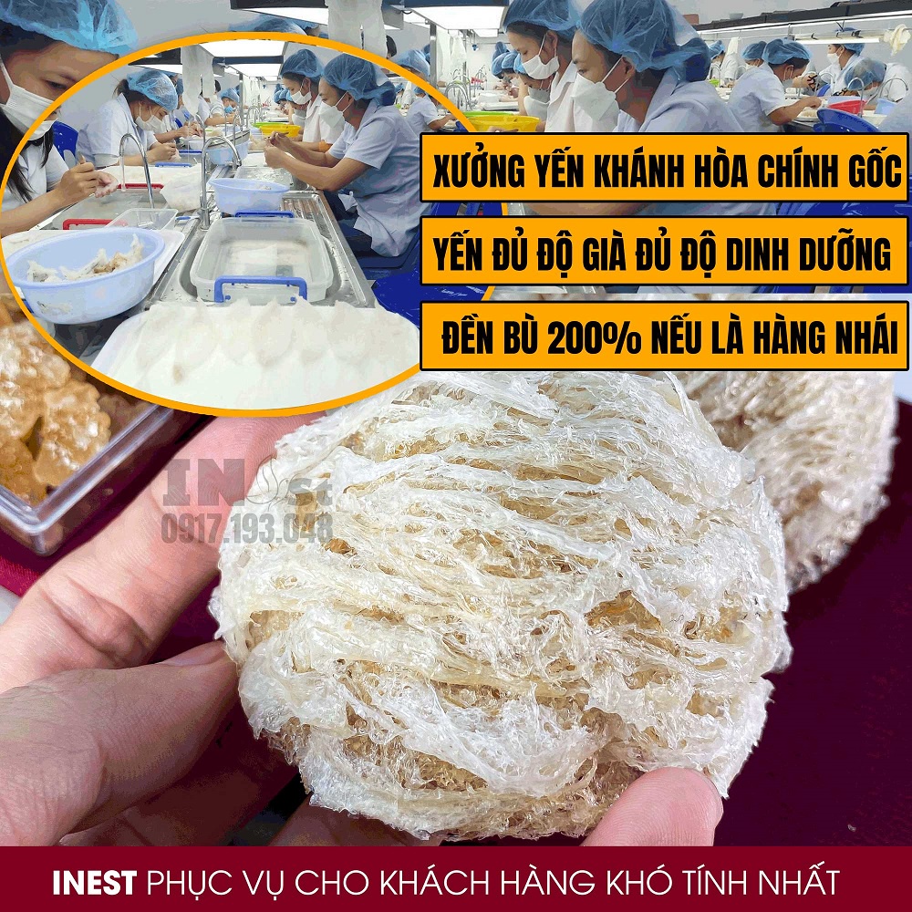 100g Yến Sào Tinh Chế SỢI TO DÀI Loại 1 INest Yến Tinh Chế Nguyên Chất Cao Cấp - Yến Sào Khánh Hòa INest