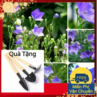 Hạt Giống Hoa Cát Cánh Tặng Bộ Dụng Cụ Mini Trồng Cây Tặng Bộ Dụng Cụ Mini Trồng Cây