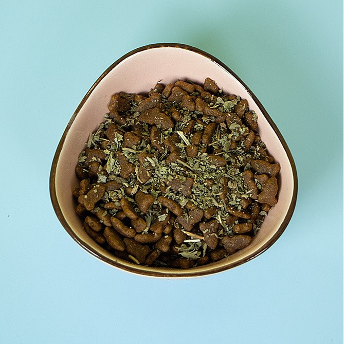 Có mèo catnip bạc hà cho mèo giảm stress tiêu búi lông - hũ thủy tinh 10 gram