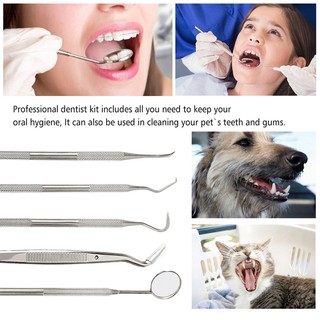 Bộ 6 Dụng Cụ Vệ Sinh Răng Và Đánh Răng