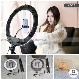 Đèn Livestream Bán Hàng Online, Spa, Chụp hình, Makeup, Phun xăm YG-18
