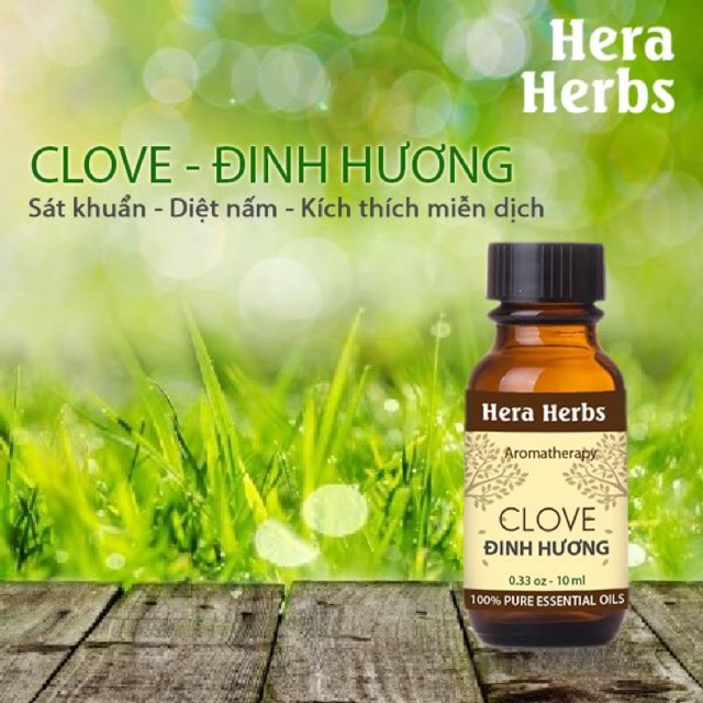 Tinh dầu nụ đinh hương