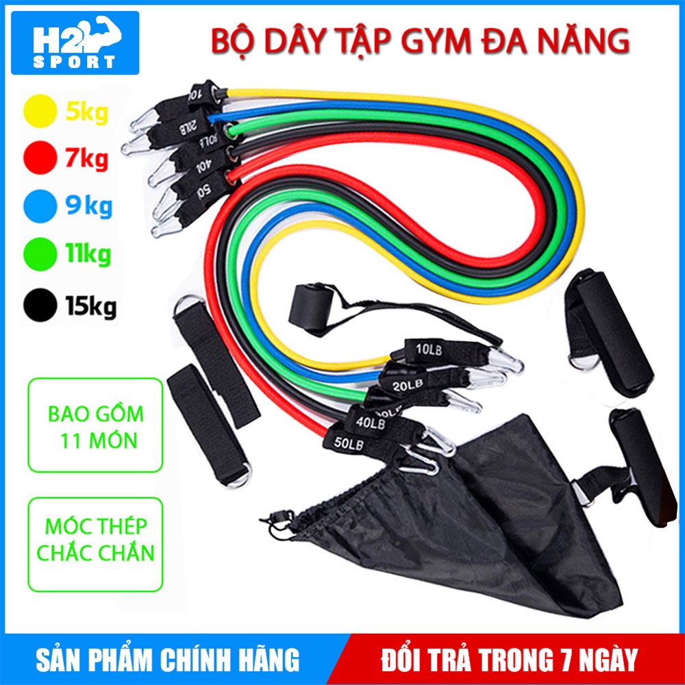 Bộ Dây Ngũ Sắc, Dây Kháng Lực Tập Gym Tại Nhà Đa Năng, 5 Dây Ngủ Sắc - Dụng Cụ Kèm Theo