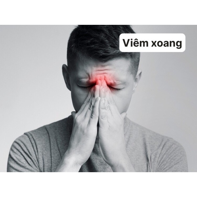 Lọ xịt mũi VNT thảo dược hàng nội địa Nhật